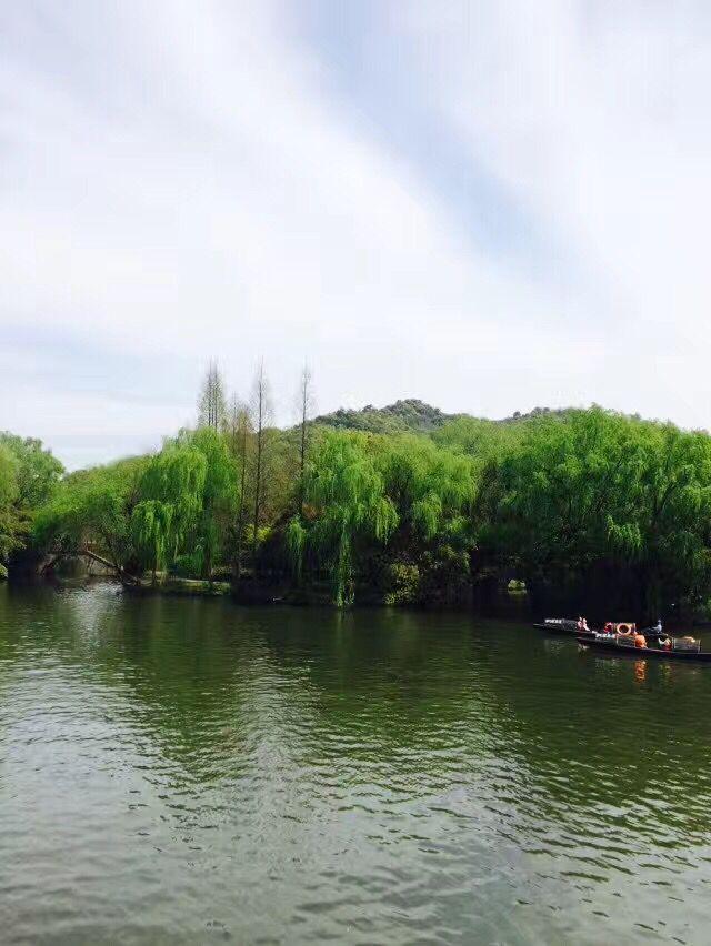 1492528126638118 (1).jpg